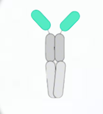 omnimab-img2.png