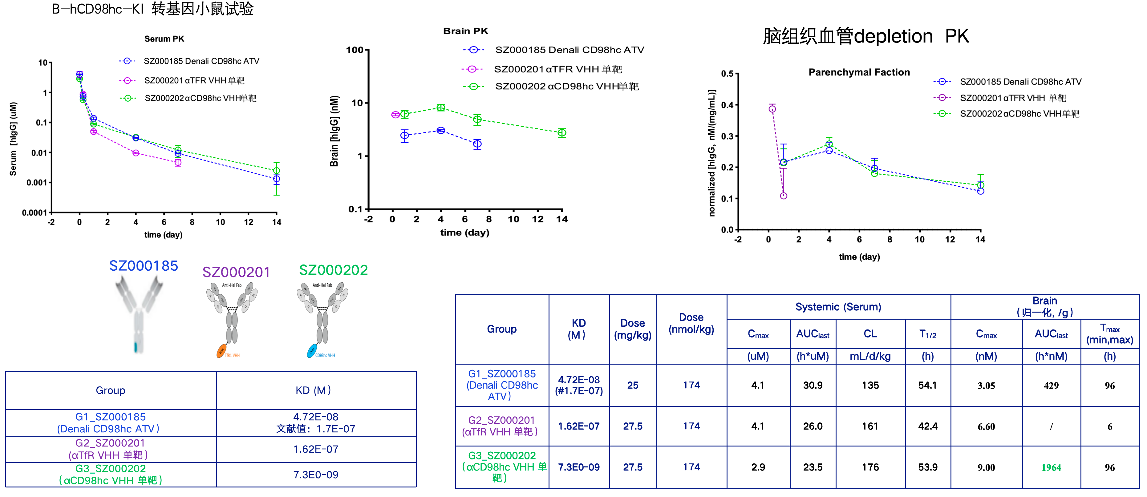 transneuro-cd98hc-invivo-pk.png
