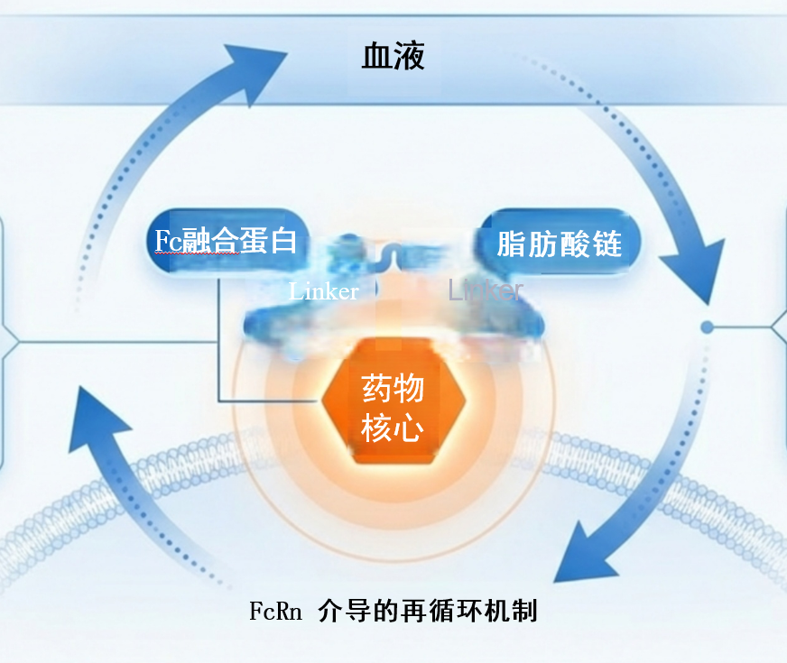 1779591804189271 lasr-mechanism-new (1).png