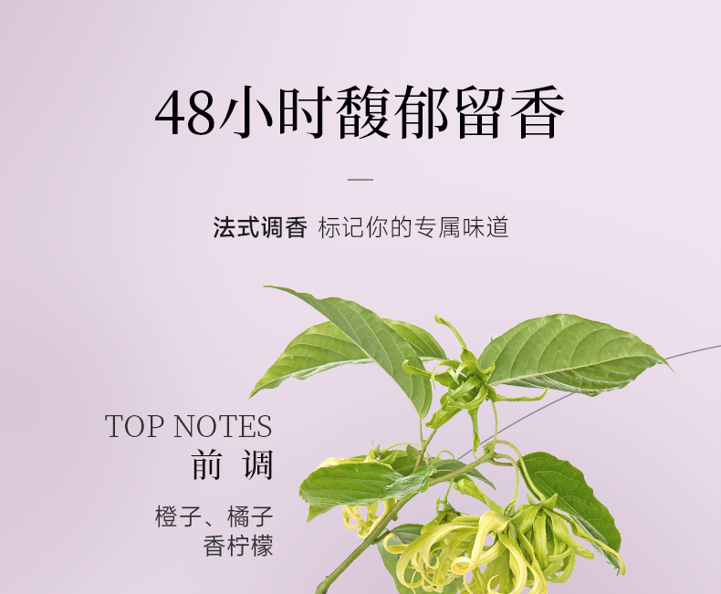 丽塔斯特柔韧顺滑花本香氛洗发乳_Z6尊龙凯时国际官网-Z6尊龙凯时美容保健品有限公司官网-Z6尊龙凯时金纯官网