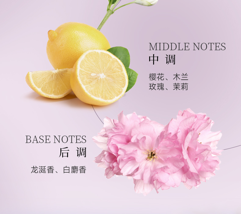 丽塔斯特去屑柔顺花本香氛洗发乳_Z6尊龙凯时国际官网-Z6尊龙凯时美容保健品有限公司官网-Z6尊龙凯时金纯官网