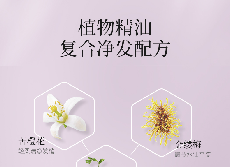 丽塔斯特控油蓬松花本香氛洗发乳_Z6尊龙凯时国际官网-Z6尊龙凯时美容保健品有限公司官网-Z6尊龙凯时金纯官网