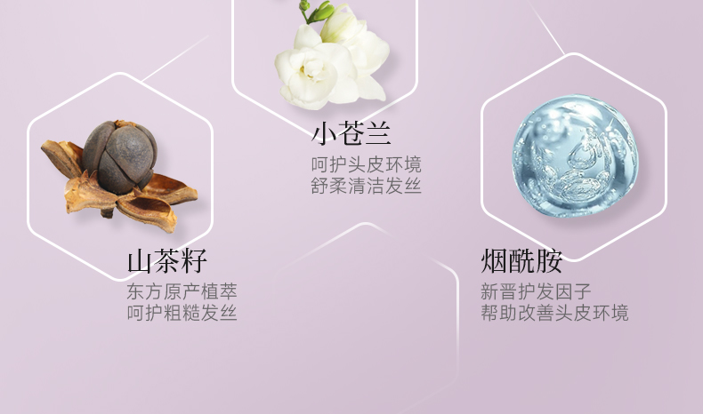 丽塔斯特控油蓬松花本香氛洗发乳_Z6尊龙凯时国际官网-Z6尊龙凯时美容保健品有限公司官网-Z6尊龙凯时金纯官网